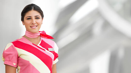 Perth Meet and Greet Service, , hi-res