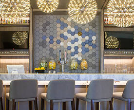 Dallas Airport Lounge